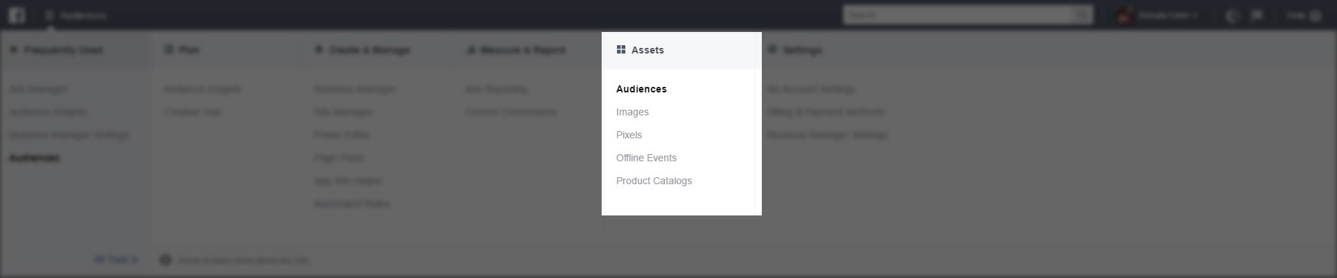 screencapture-facebook-ads-manager-audiences-manage-1 copy