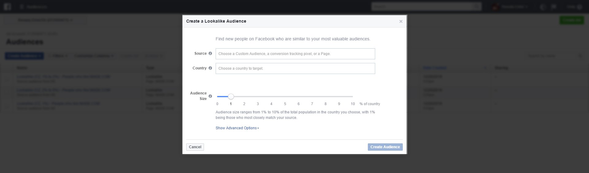 screencapture-facebook-ads-manager-audiences-manage-2 copy
